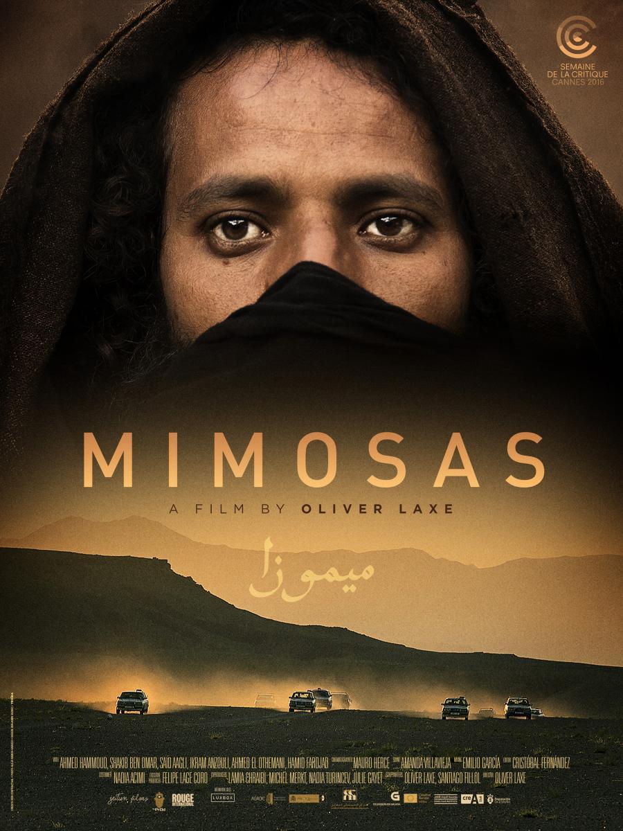 mimosas-188806834-large