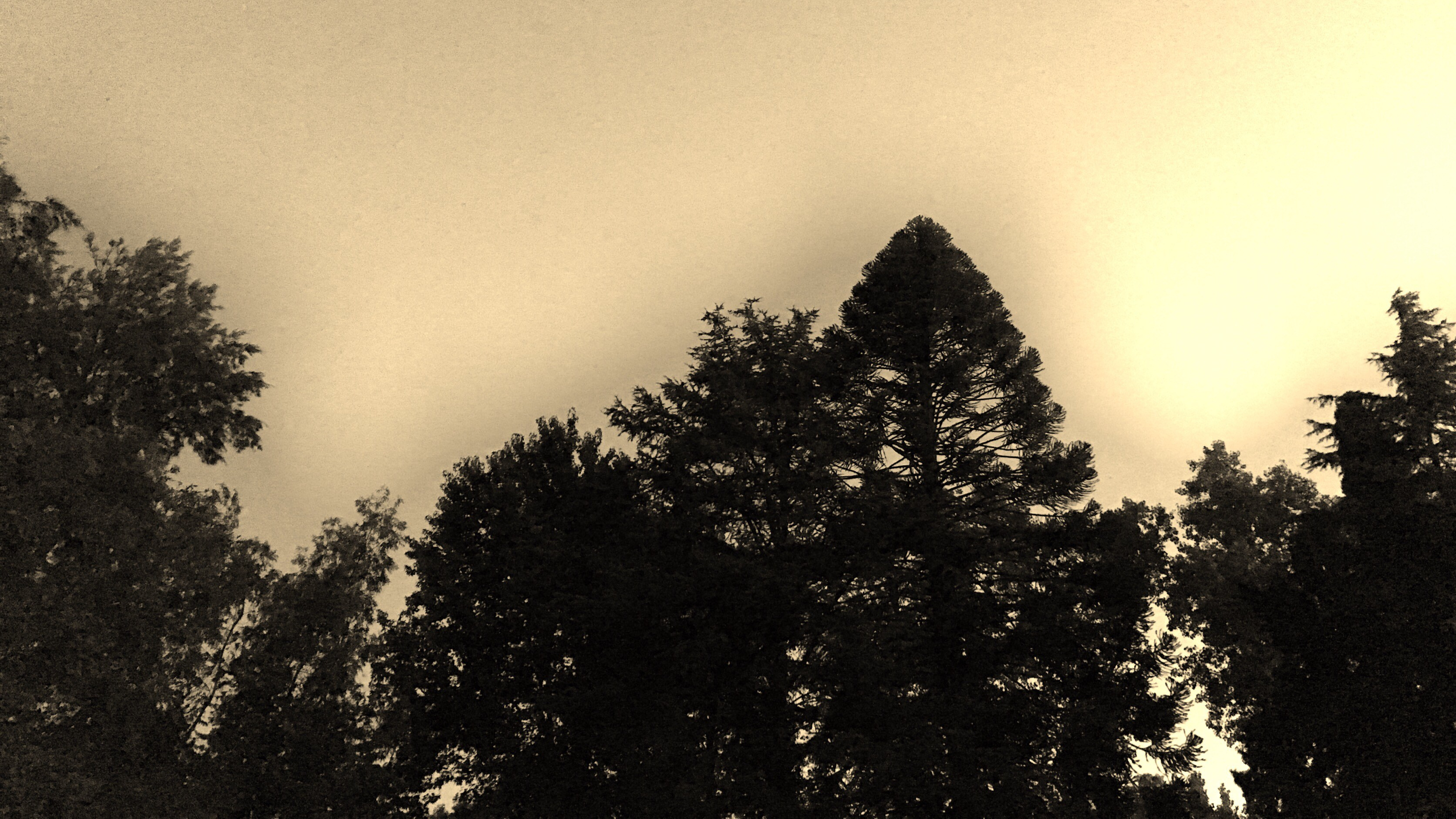 image_6483441.jpg