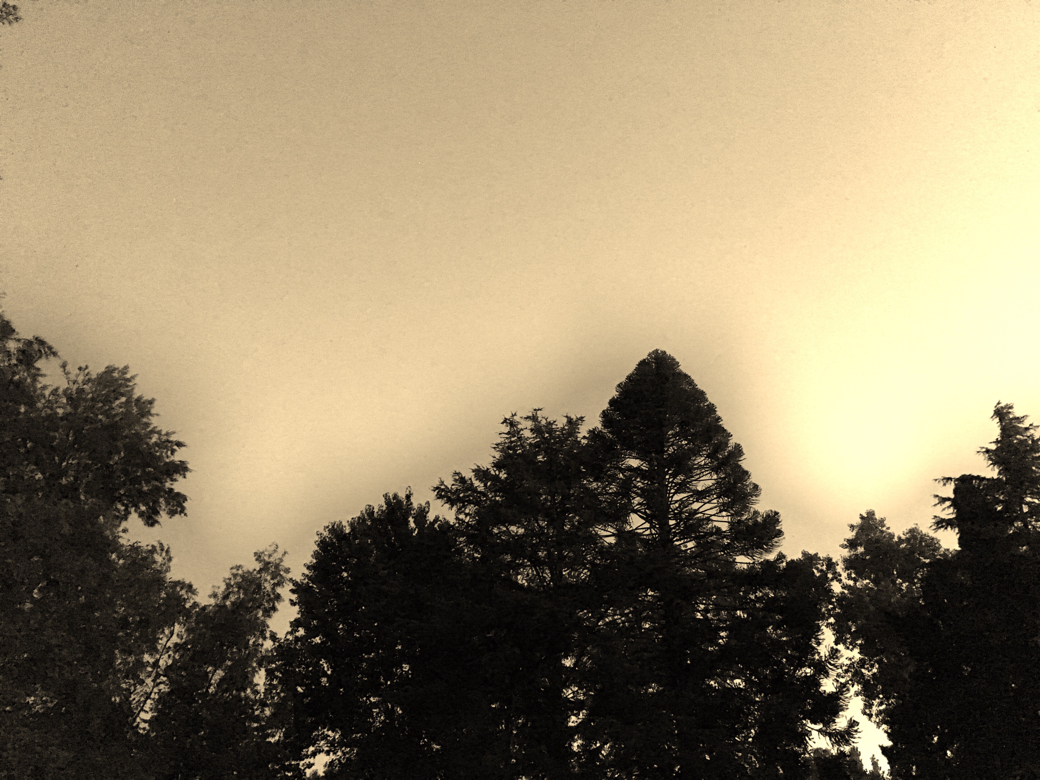 image_6483441
